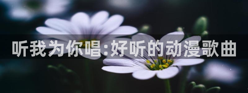 58动漫网在线