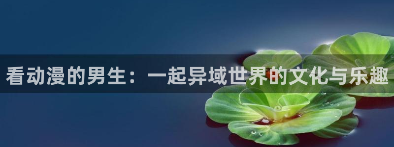 58动漫的网站